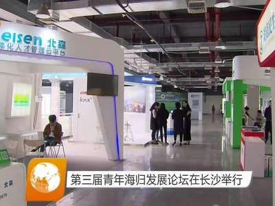 第三届青年海归发展论坛在长沙举行