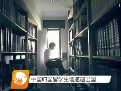 中国归国留学生增速超出国