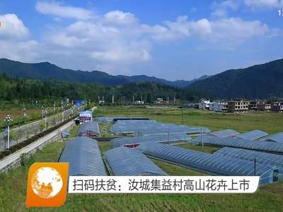 扫码扶贫：汝城集益村高山花卉上市