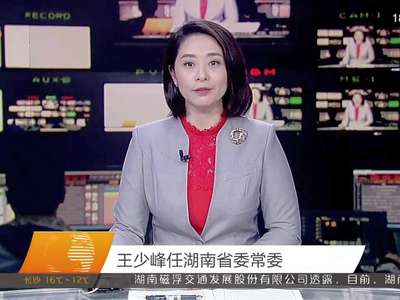 王少峰任湖南省委常委