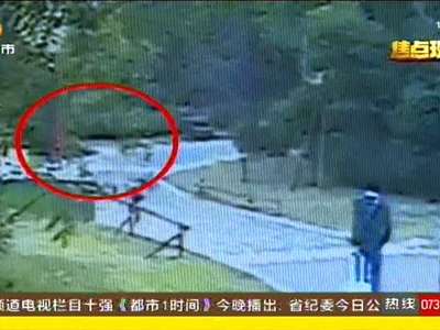 长沙一岁幼儿遭恶犬袭击 交警开道紧急送医