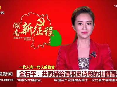 金石平：共同描绘潇湘史诗般的壮丽画卷