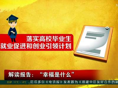 解读报告：“幸福是什么”