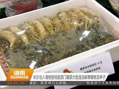 长沙出入境检验检疫部门截获大批违法邮寄植物及种子