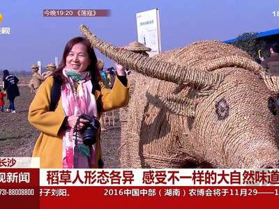 长沙稻草人艺术节：感受不一样的大自然味道