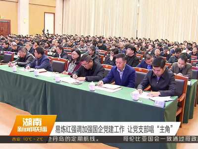 易炼红强调加强国企党建工作 让党支部唱“主角”