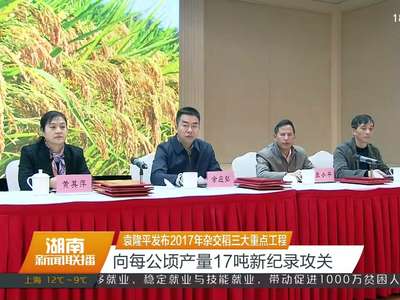 袁隆平发布2017年杂交稻三大重点工程 向每公顷产量17吨新纪录攻关