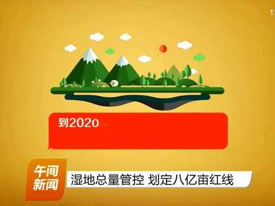 湿地总量管控 划定八亿亩红线