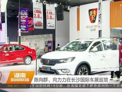 陈向群、向力力在长沙国际车展巡馆