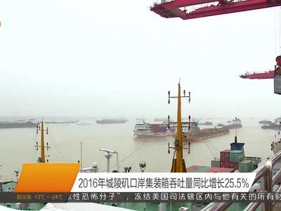 2016年城陵矶口岸集装箱吞吐量同比增长25.5%