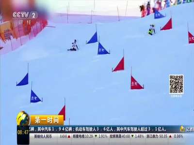 [视频]新疆：“最温暖的滑雪场”将“白雪变白金”