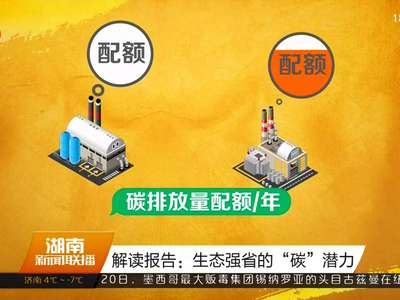 解读报告：生态强省的“碳”潜力