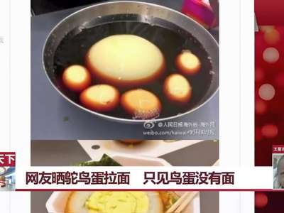 [视频]日本网友晒鸵鸟蛋拉面 网友：我的面呢？