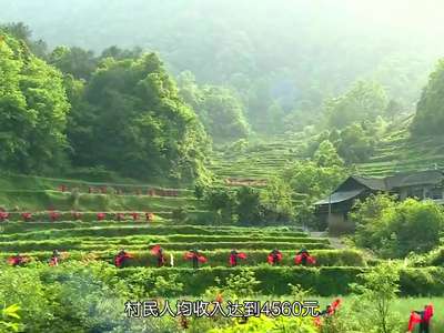 苏木绰·马头溪村：靠“美丽山水”敲开致富门