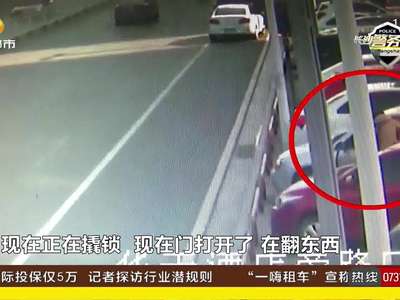 砸车窗盗窃案频发 民警监控锁定两嫌犯