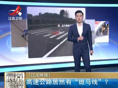 [视频]杭州：高速公路居然有“斑马线”？