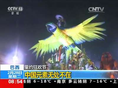 [视频]巴西：里约狂欢节进入高潮