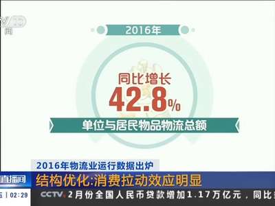 [视频]2016年物流业运行数据出炉