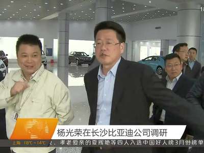 杨光荣在长沙比亚迪公司调研