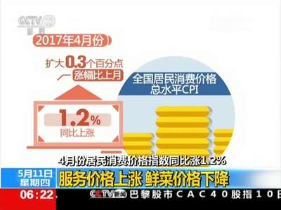 [视频]国家统计局：4月CPI同比涨幅扩大 PPI涨幅回落