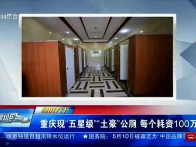 [视频]重庆现“五星级”“土豪”公厕 每个耗资100万元