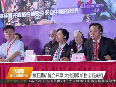 第五届矿博会开幕 大批顶级矿物宝石亮相