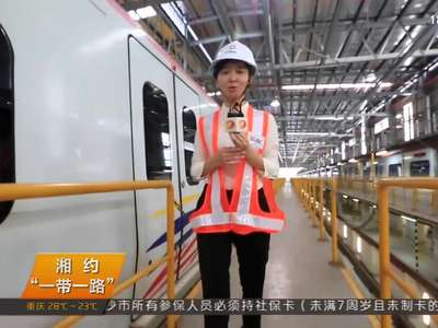 吉隆坡中车维保基地：优质服务赢得客户信赖