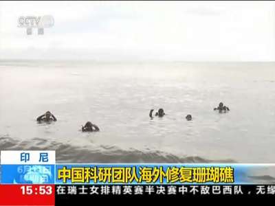 [视频]印尼：中国科研团队海外修复珊瑚礁