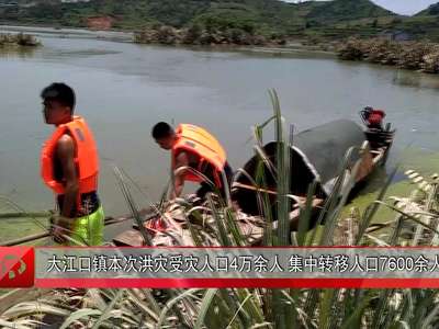 溆浦县城有多少人口_溆浦县民投公园城图片