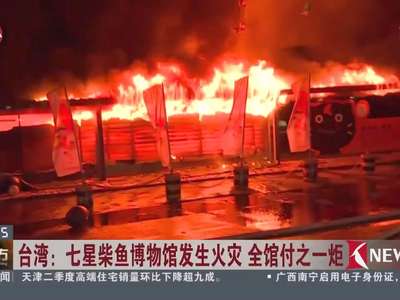 [视频]台湾七星柴鱼博物馆发生火灾 全馆付之一炬