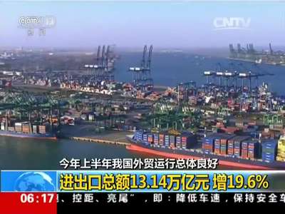 [视频]今年上半年我国外贸运行总体良好：进出口总额13.14万亿元 增19.6%