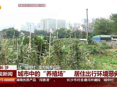 长沙 让“城中村”变为城市公园