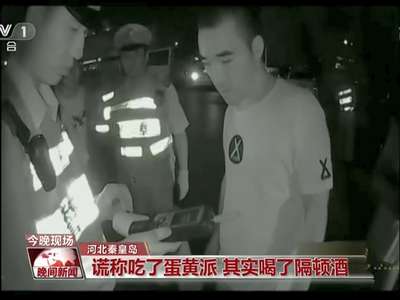 [视频]交警查处酒驾 司机状况百出——谎称吃了蛋黄派 其实喝了隔顿酒