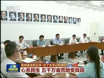 [视频]【砥砺奋进的五年·为了总书记的嘱托】心系民生 五千万亩荒地变良田