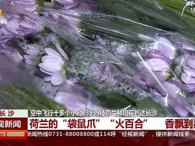 进口鲜花“直飞”湖南