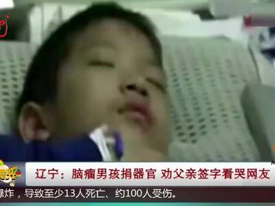 [视频]辽宁：脑瘤男孩捐器官 劝父亲签字看哭网友