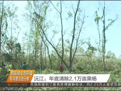 洞庭湖生态环境专项整治进行时 沅江：年底清除2.1万亩黑杨