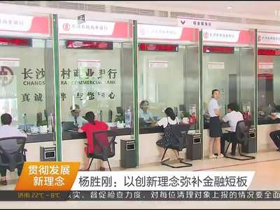 贯彻发展新理念 杨胜刚：以创新理念弥补金融短板