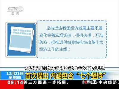 [视频]习近平新时代中国特色社会主义经济思想：首次提出 内涵包含“七个坚持”