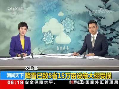 [视频]农业部：降雪已致5省15万亩设施大棚受损