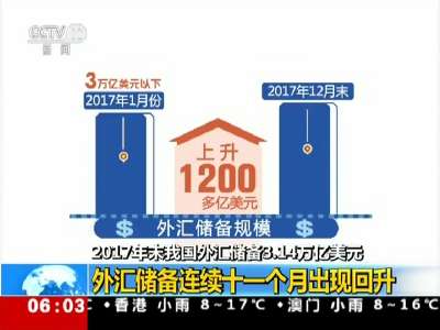 [视频]2017年末我国外汇储备3.14万亿美元 外汇储备连续十一个月出现回升