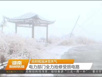 应对低温冰雪天气 电力部门全力抢修受损电路