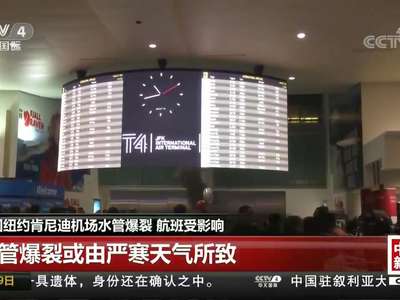 [视频]美国纽约肯尼迪机场水管爆裂 航班受影响