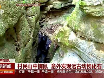 村民山中捕鼠 意外发现远古动物化石