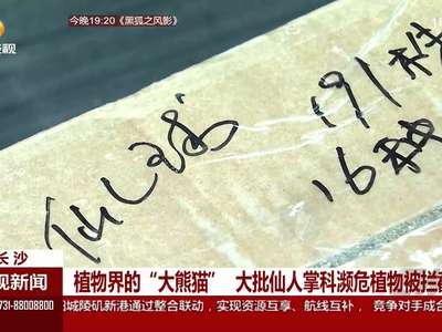 植物界的“大熊猫” 大批仙人掌科濒危植物被拦截