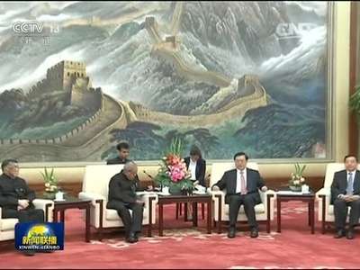 [视频]张德江会见印度总统