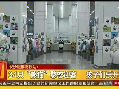 长沙磁浮高铁站：世界巡回熊猫艺术展 中部首站展出