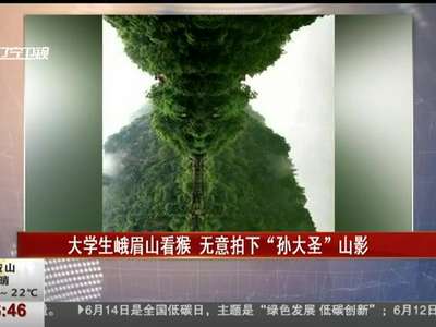 [视频]大学生峨眉山看猴 无意拍下“孙大圣”山影