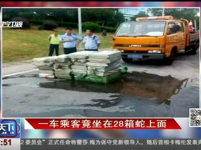 [视频]一车乘客竟坐在28箱蛇上面