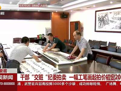 娄底：干部“交脏”纪委拍卖 一副工笔画起拍价初定20万